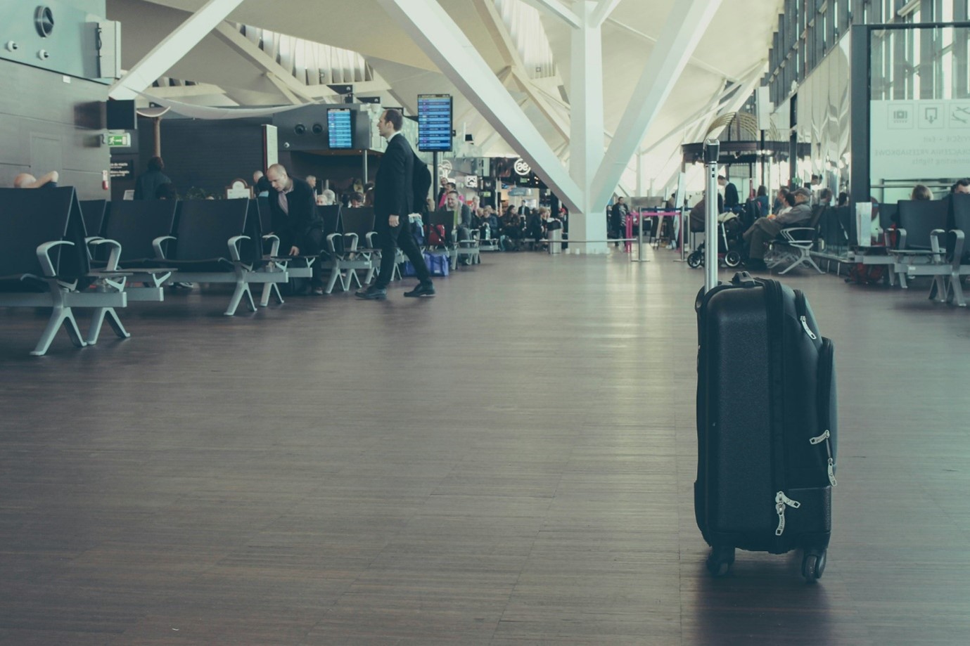 What To Do If Your Luggage Is Lost or Delayed